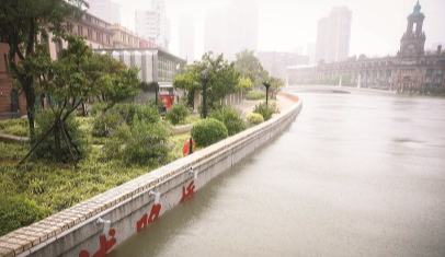 “竹节草”登陆 众志成城用心守“沪”